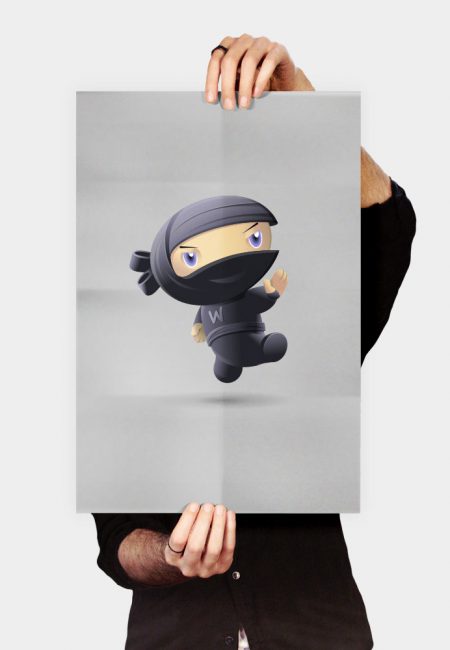 Flying Ninja